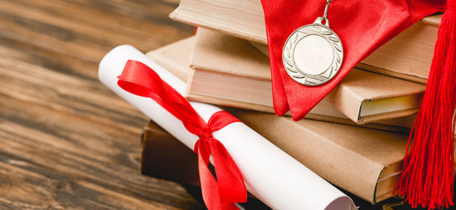 Dominando las Normas APA